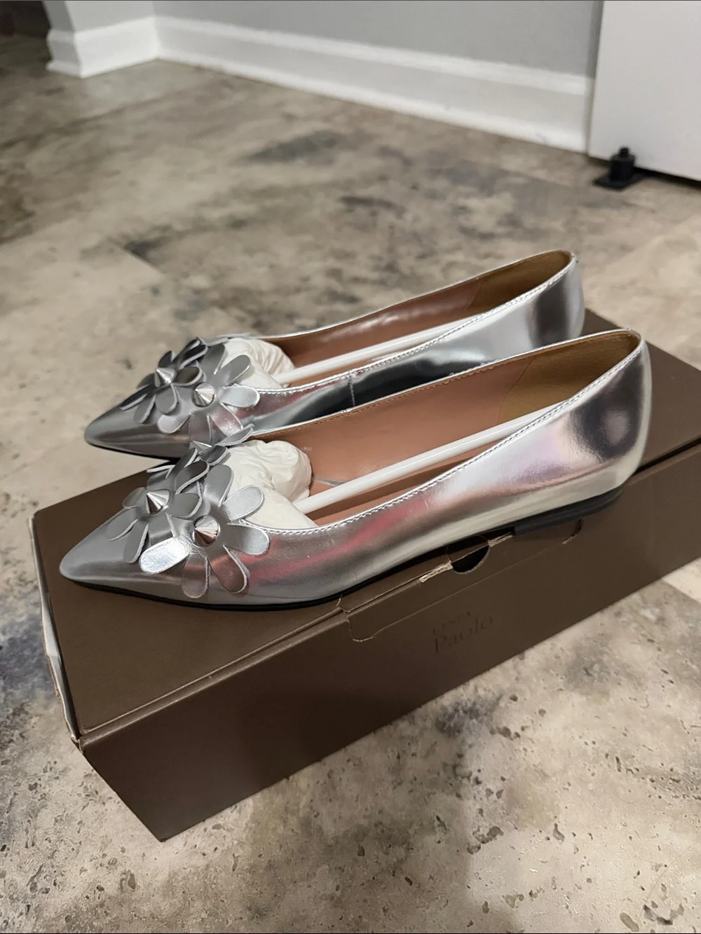 Women's Narcisus Silver Pointed Toe Floral Ballet Flats